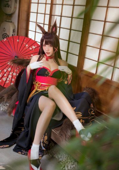 电视剧追风行动48集免费完整版